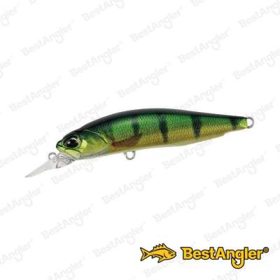 DUO Realis Rozante 77SP Perch ND CCC3864