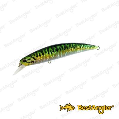 DUO Spearhead Ryuki 80S SW LIMITED Green Mackerel CPA0263