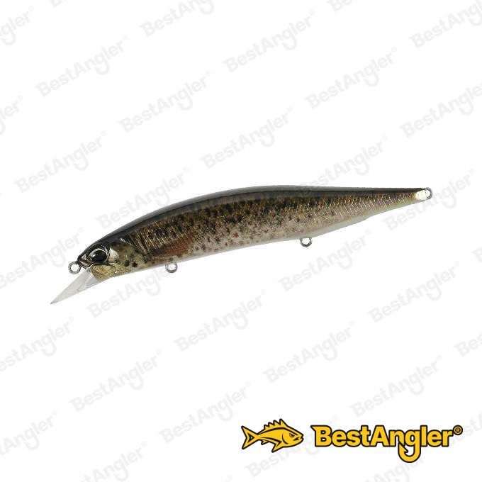 DUO Realis Jerkbait 120SP PIKE LIMITED Brown Trout ND CCC3815