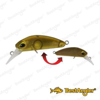 ValkeIN Kuga Split Amber M119