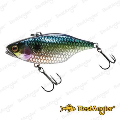 Jackall TN70 Full Tungsten Uroko HL SS Shad