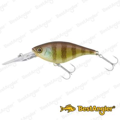 Jackall Soul Flat 58SF SK Noike Gill