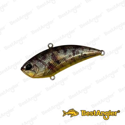 DUO Realis Vibration 62 Apex Tune Tule Perch ND ASA3825