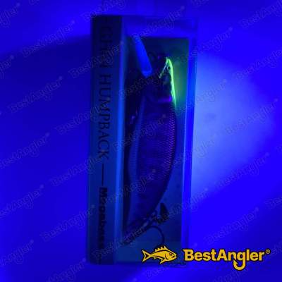 Megabass GH64 Humpback AL INDICATOR YAMAME - 7 - UV