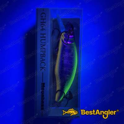 Megabass GH64 Humpback LZ CHART BACK YAMAME - 16 - UV