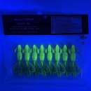 Keitech Crazy Flapper 2.8" Watermelon PP. / Giallo - #447 - UV