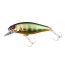 Jackall Chubble MR Champagne Gold Gill - 7945