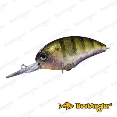 O.S.P Blitz DR Dazzler Baby Gill L-16