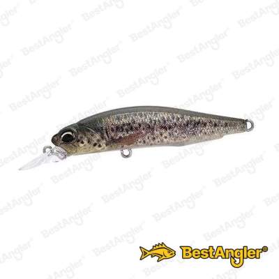 DUO Realis Rozante 77SP Brown Trout ND CCC3815