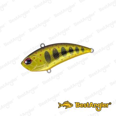 DUO Realis Vibration 62 G-Fix Gold Yamame MCC4084