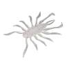 Jackall RV-Bug 1.5" Sight Pearl White