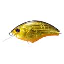 O.S.P Blitz Black Gold Orange Belly H-04