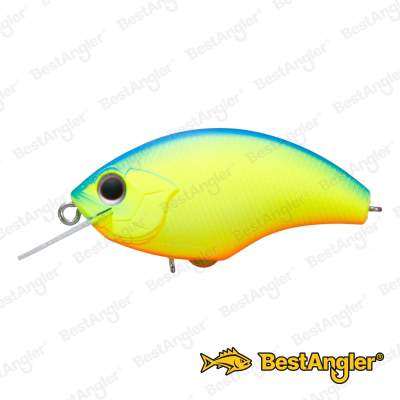 O.S.P Blitz Matte Chart Blue Back M-07