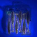 O.S.P DoLive Shad 4" SW Gekirin Pink Back TW228 - UV2