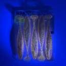 O.S.P DoLive Shad 4.5" SW Gekirin Pink Back TW228 - UV2