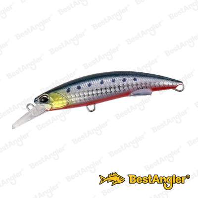 DUO Rough Trail Blazin 92 Sardine RB ABA0030