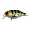 Jackall Chubby 38F HL Perch