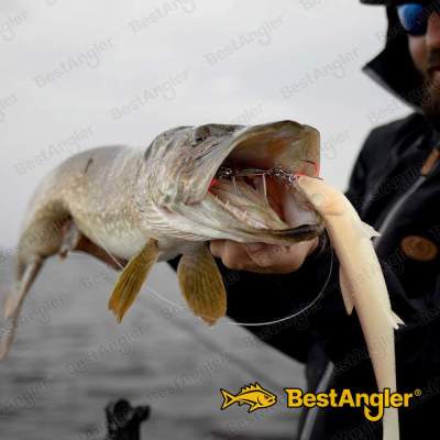 BKK Trigger 21 SS Stinger Rig