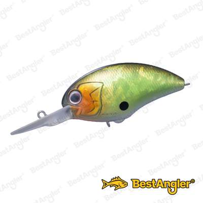 O.S.P Blitz DR Green Scale H-32