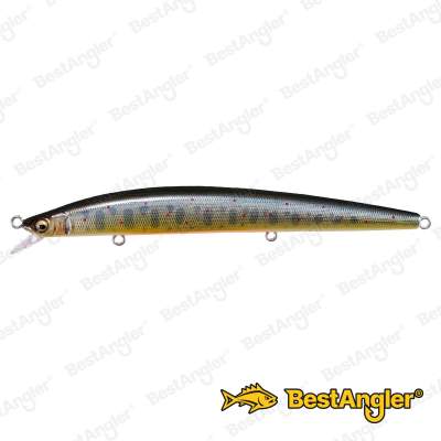 Megabass GH120 Takumi Iwana