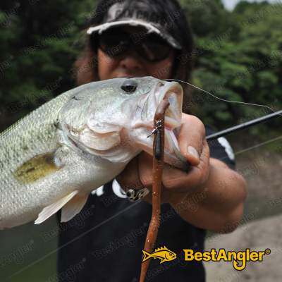 DECOY Worm 217 Zero‑Dan