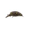 Jackall Timon Micro Panicra MR-F Yazy Pellet San