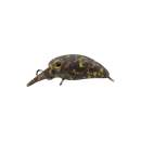 Jackall Timon Micro Panicra MR-F Yazy Pellet San