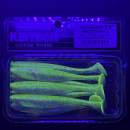 Keitech Easy Shiner 3.5" Golden Goby - BA#06 - UV