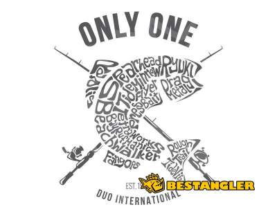 T-Shirt DUO “Only One” gray