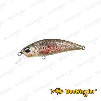 DUO Spearhead Ryuki 38S Brown Trout ND CCC3815
