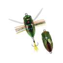 DUO Realis Koshinmushi Kinkame CCC3218