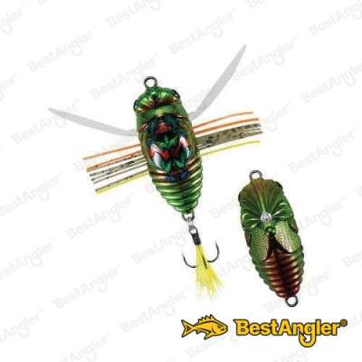 DUO Realis Koshinmushi Kinkame CCC3218
