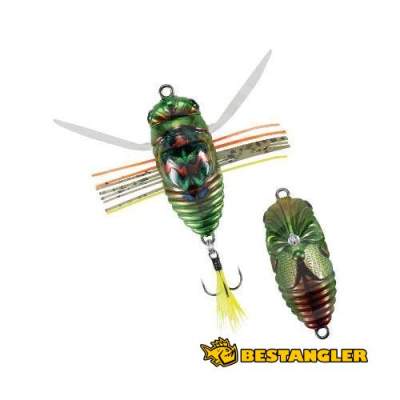 DUO Realis Koshinmushi Kinkame