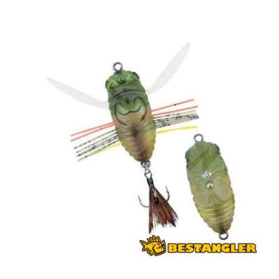 DUO Realis Shinmushi Haruzemi CCC3202