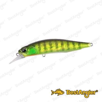 DUO Realis Rozante 77SP Chart Gill Halo AJA3055