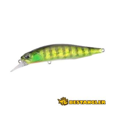 DUO Realis Rozante 63SP Chart Gill Halo AJA3055