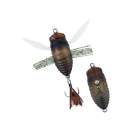 DUO Realis Koshinmushi Semigara CCC3203