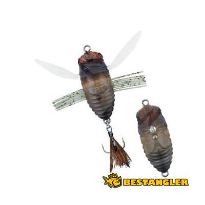 DUO Realis Koshinmushi Semigara CCC3203