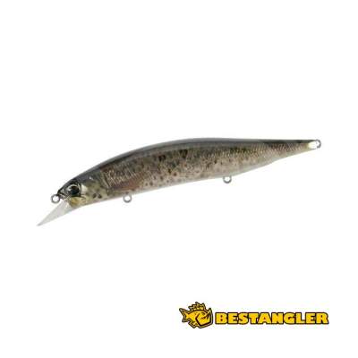 DUO Realis Jerkbait 120SP PIKE LIMITED Brown Trout ND CCC3815