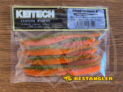 Keitech Shad Impact 4" Motoroil / Orange - CT#15