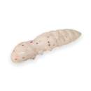 FishUp Pupa 1.2" #SLA03 White / Red