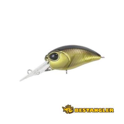 ValkeIN Horizard Li Black Gold