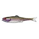 LMAB Finesse Filet 15 cm Rainbow Trout - 137016