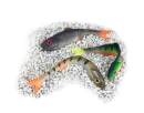 LMAB Finesse Filet 15 cm Rainbow Trout - 137016