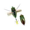 DUO Realis Shinmushi Kinkame CCC3218